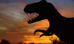 اكتشاف أقدم ديناصور "سيرابودان" في المغرب